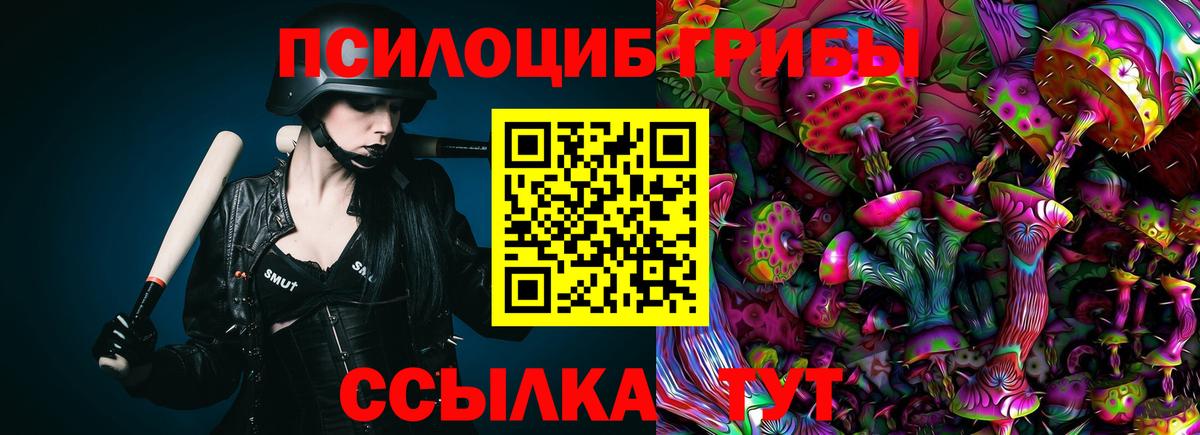 Фурманов  Галлюциногенные грибы Cubensis  Вход с VPN 