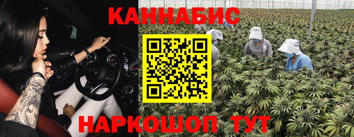 Конопля Ganja Фурманов